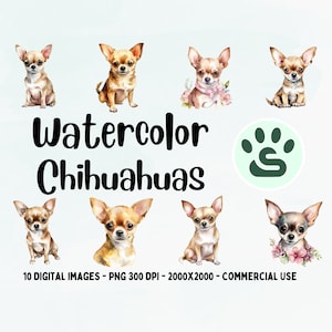 Chihuahua Watercolor PNG, Chihuahua Clipart, Chihuahua illustration, Chihuahua Wall Art, Chihuahua Puppy Painting, Dog clipart, Cute Dog PNG