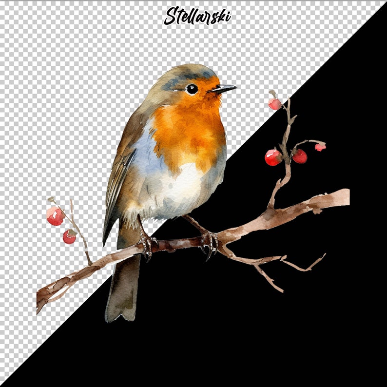 Robin Clipart Png | Cute Robin PNG | Colorful Bird PNG | Watercolor ...