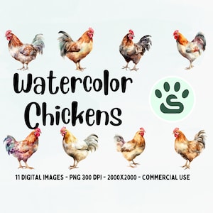 Cute Chicken PNG | Rooster Clipart | Cute Colorful Bird PNG | Watercolor Hens Clipart | Lovely Chicken SVG | Commercial Use | Nursery Art