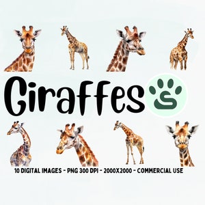 Cute Giraffe Watercolor Clipart | Baby Shower Images | Nursery Decor Wall Art | African Safari Zoo Animal | Giraffe PNG | Commercial Use
