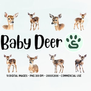 Baby Hirsch PNG | Rehkitz Clipart | Waldtier PNG | Aquarell Hirsche Clipart | Hirschkopf Kunst | Baby Hirsch Print | Kommerzielle Nutzung | Kinderzimmer Kunst