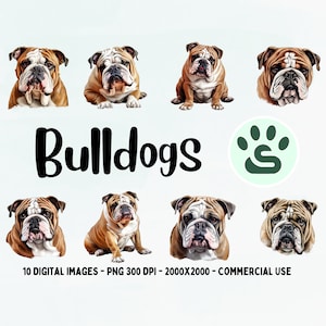 Engelse Bulldog clipart, Engelse Bulldog PNG, Engelse Bulldog illustratie, hond clipart, hond PNG, hond aquarel, hond kunst aan de muur, hondenliefhebber