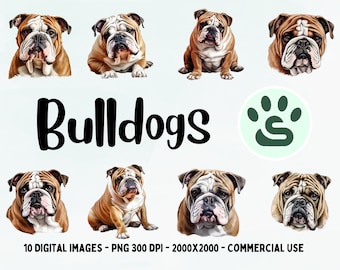 Boy Popular English Bulldog Names Names Boy Best Female French