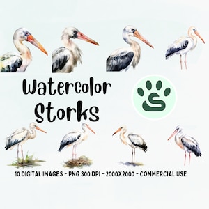 Watercolor Stork Clipart | Stork Baby Shower PNG | Farm Animals | Watercolor Stork PNG | Cute Bird Clipart | Commercial License | Stork Art