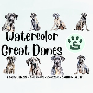 Great Dane Clipart, Big Dog PNG, Watercolor Dog illustration, Dog Portrait, Puppy Images, Transparent Background, Great Dane Wall Art