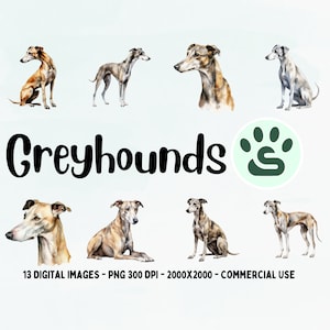 Greyhound Watercolor Clipart, Greyhounds PNG, Greyhound illustration, Greyhound Wall Art, Greyhound Watercolor, Dog clipart, Dog PNG