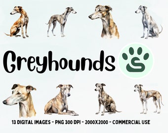 May include: A digital illustration set of 13 watercolor paintings of greyhounds in various poses. The dogs are depicted in shades of brown, black, and white. The images are labeled "Greyhounds" with a paw print icon.