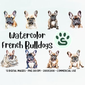 Französische Bulldogge Clipart | Niedliches Rotkehlchen PNG | Französische Bulldogge PNG | Aquarell Hund Clipart | Welpe PNG | Süßer Frenchie Welpe | Volle kommerzielle Nutzung