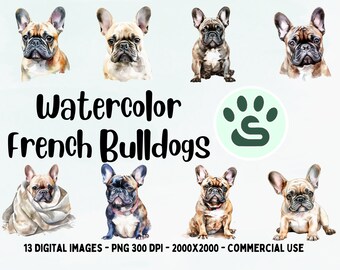 May include: A set of 13 digital watercolor illustrations of French Bulldogs in various poses. The images are high-resolution, 300 DPI, and 2000x2000 pixels. They are perfect for commercial use.