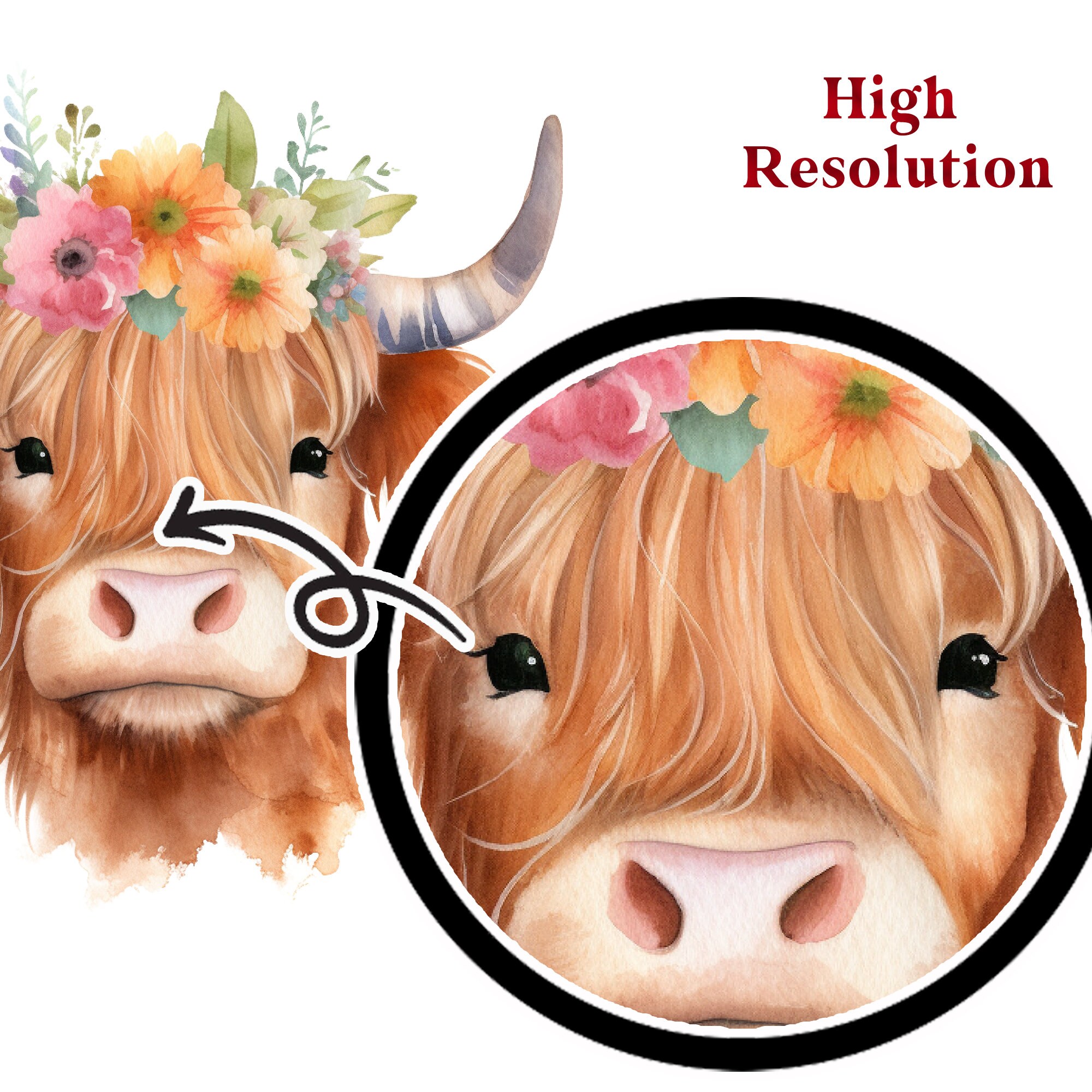 Highland Cow With Flowers PNG Watercolor Highland Cow Clipart Nursery ...