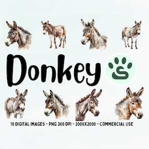 Aquarell Esel Clipart | Esel PNG Bundle | Tiere vom Bauernhof PNG | Süßer grauer Esel | Kinderzimmer Wandkunst | Digitaler Download | Graue Mule Art