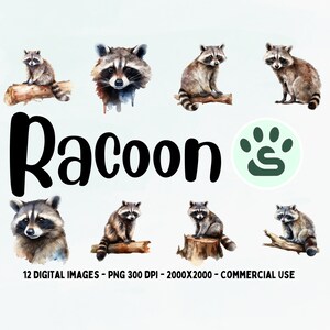 Cute Racoon PNG | Racoon Clipart | baby animal clipart bundle | Watercolor Racoon Clipart | Digital download | Commercial Use | Nursery Art
