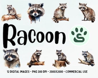 Cute Racoon PNG | Racoon Clipart | baby animal clipart bundle | Watercolor Racoon Clipart | Digital download | Commercial Use | Nursery Art