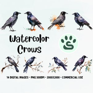 Watercolor Crow Clipart, Black Bird PNG, Gothic Dark illustration, Halloween Clipart, Transparent background, Instant download, Black Raven
