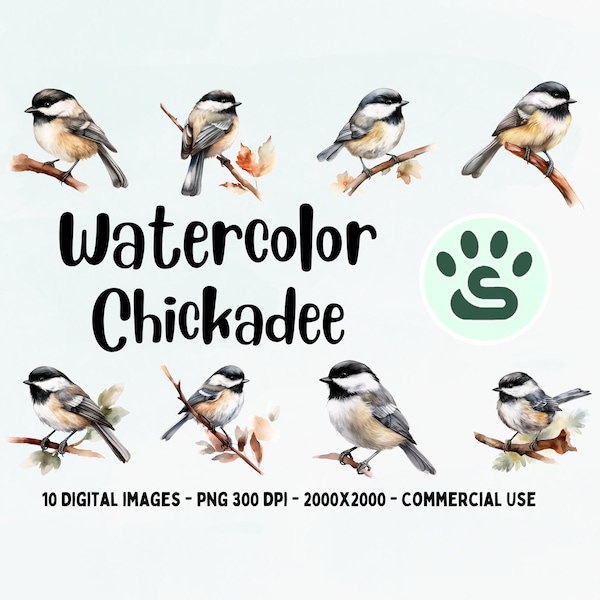 Chickadee PNG | Chickadee Clipart Set | Watercolor Chickadee | Birds Clipart | Bird Animals PNG | Clipart Bundle | Junk Journal