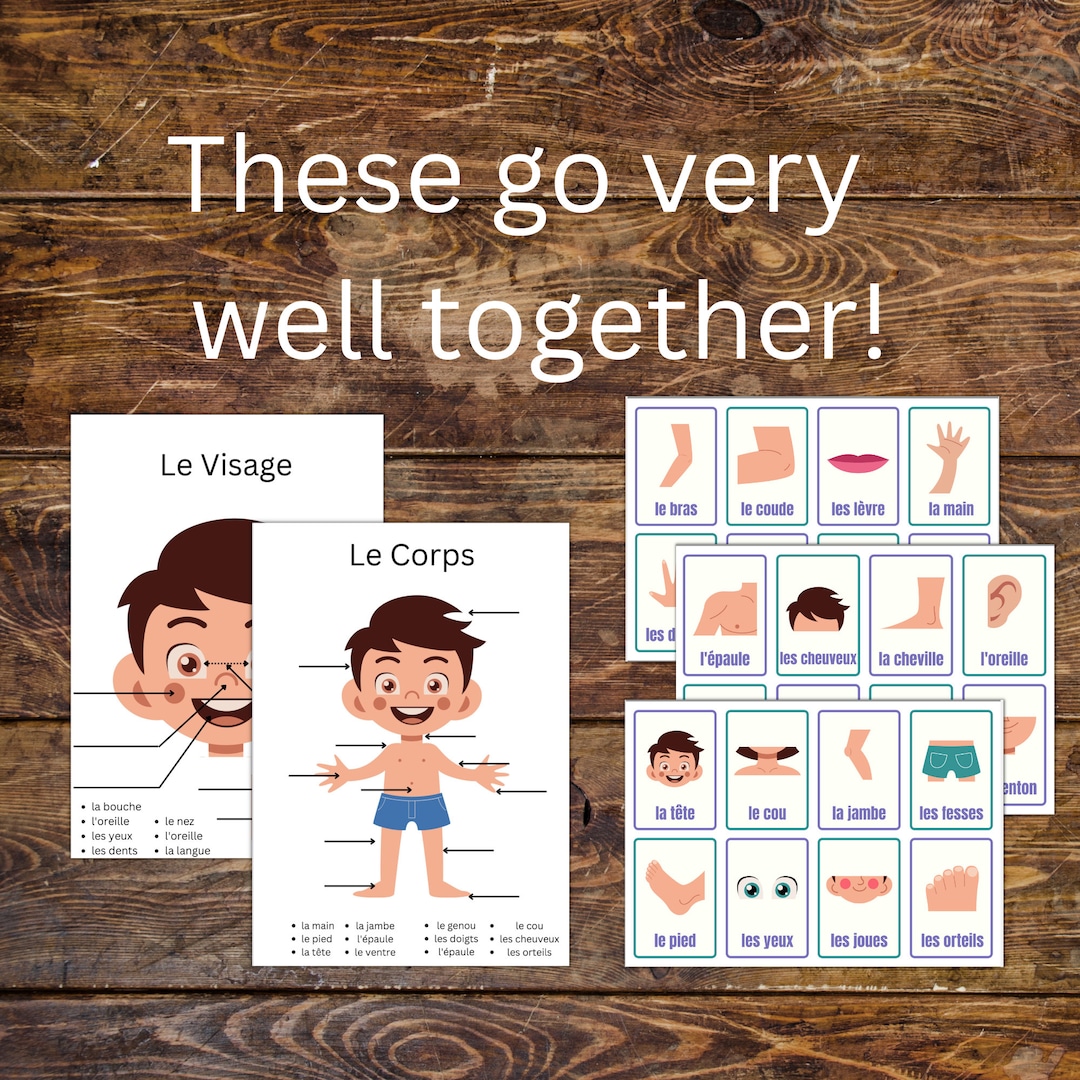 Parts of the Body Poster & Flashcard BUNDLE Homeschool Posters