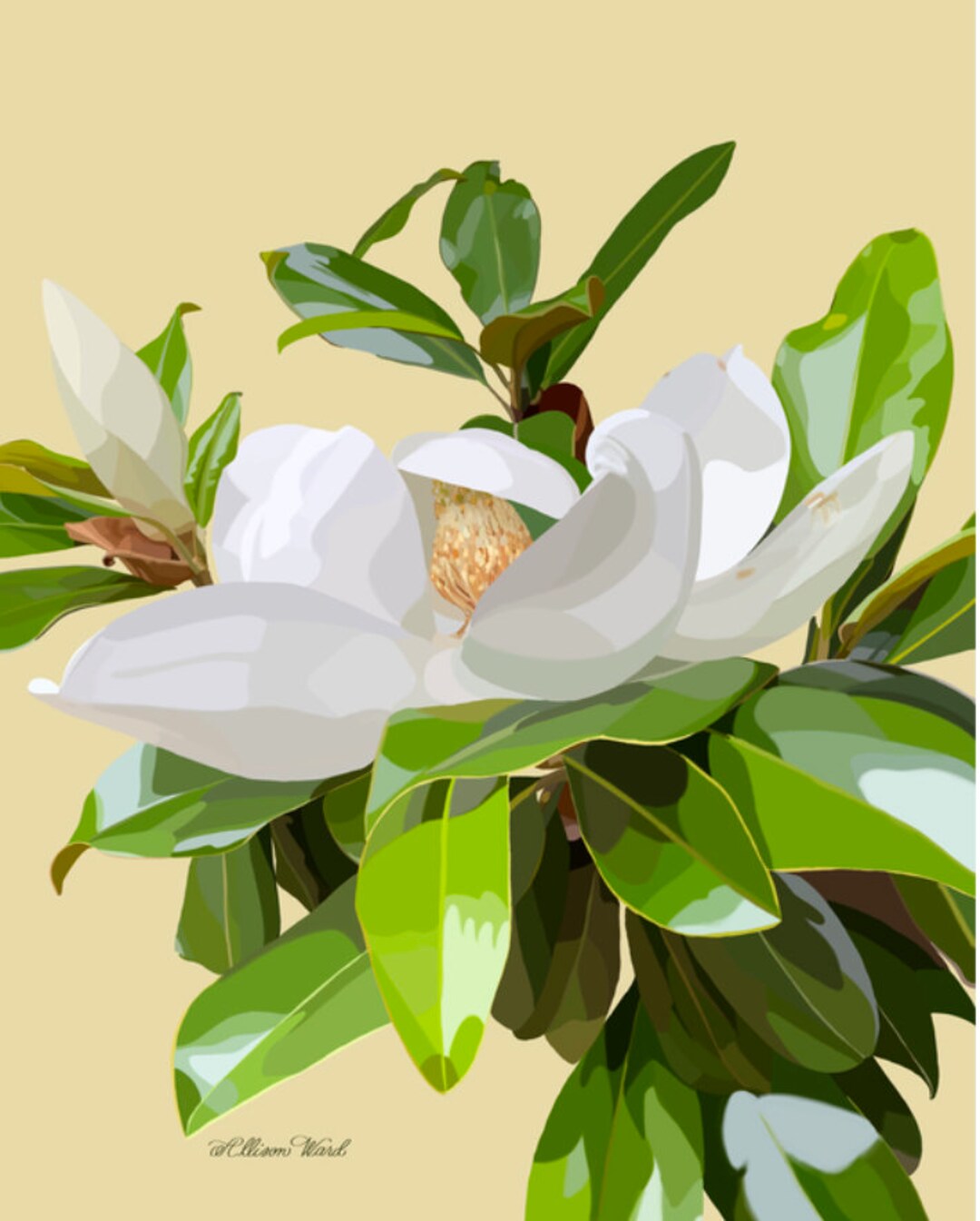 Magnolia on Yellow Print Magnolia Fine Art Magnolia Etsy