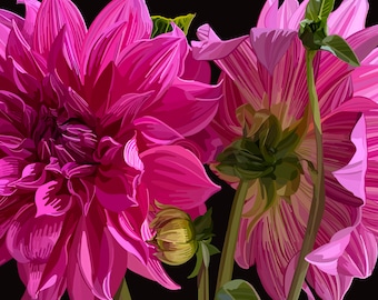 Hot Pink Dahlias Wall Decor | Pink Dahlias Print | Dahlia Fine Art Print