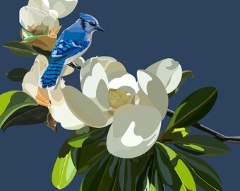 Bluejay on Magnolia Print | Magnolia Poster | Magnolia Fine Art | Magnolia Wall Decor