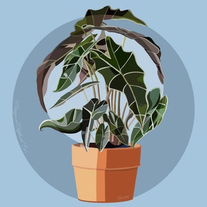 Elephant Ear Print | Elephant Ear Plant Print | Plant Wall Decor | Plant Wall Art | Elephant Ear Fine Art