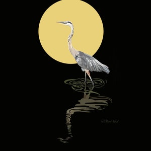Night Heron | Heron Print | Heron Fine Art | Heron Wall Decor