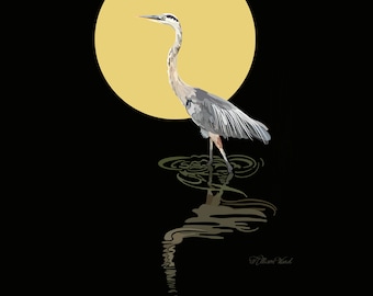 Night Heron | Heron Print | Heron Fine Art | Heron Wall Decor