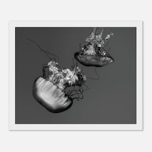 Framed B&W Jellyfish Wall Art | Ocean Creatures Photo Print | High-Quality Framed Art Print | Minimalist Sea Life Décor | Ready to Hang