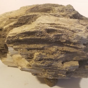 Petrified Wood Druzy Crystal Museum Quality