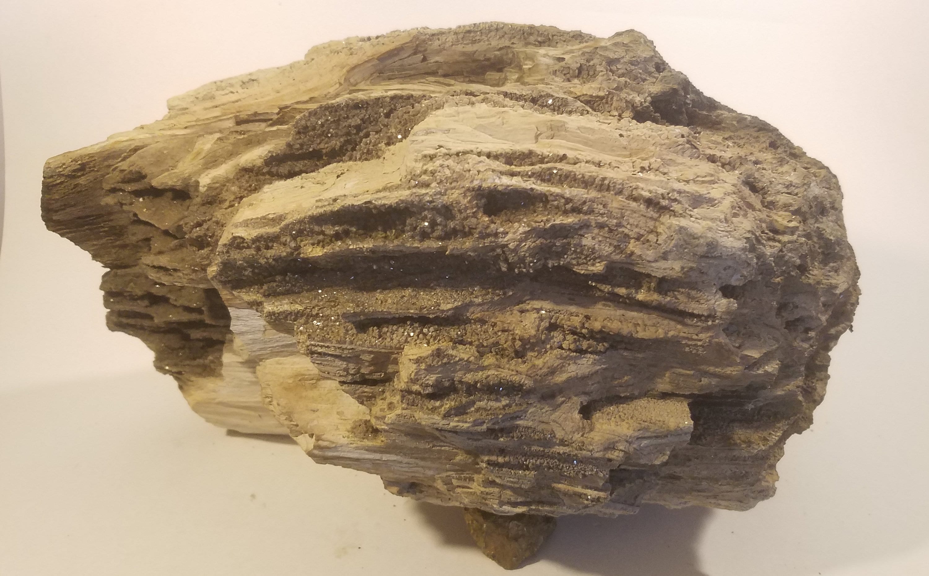 Petrified Wood Druzy Crystal Museum Quality