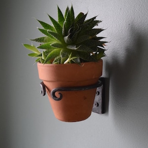 May include: A terracotta pot with a green succulent plant, held by a black metal wall-mounted bracket. The bracket has decorative scrollwork and is attached to the wall with screws. The plant has spiky leaves.