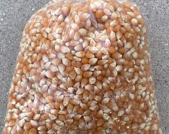 Michigan Amish Store Popcorn