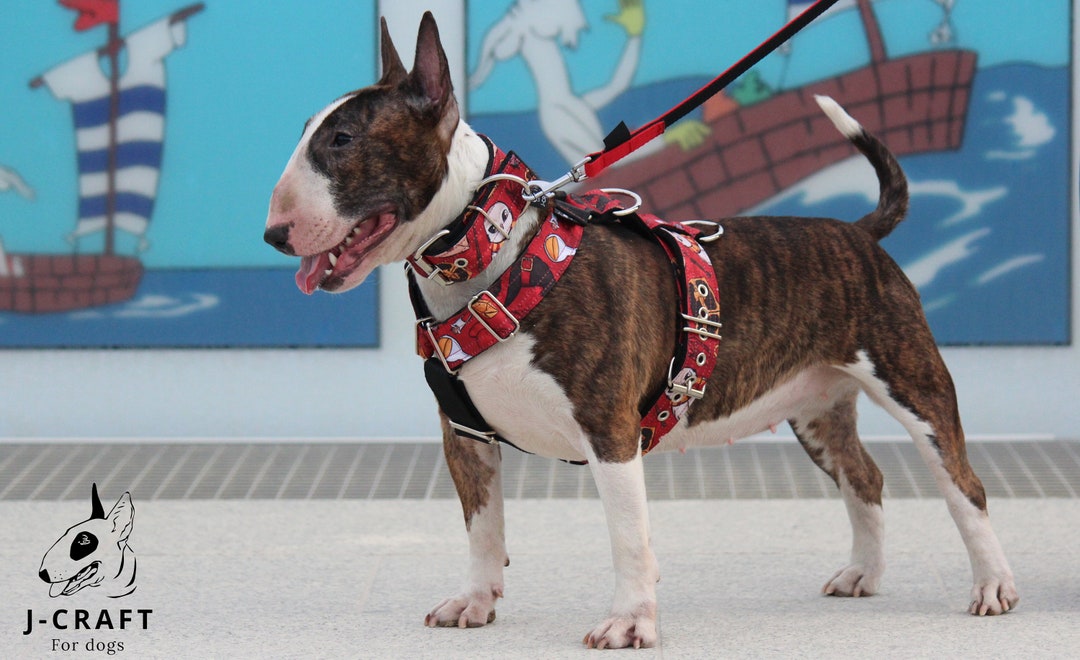 Dog Harness Harry Potter Strong Dog Pitbull Amstaff Etsy UK