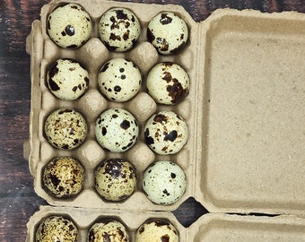 4 DOZEN QUAIL EGGS