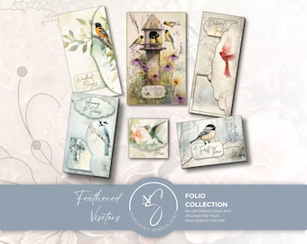 Feathered Visitors Folio Collection, Six Interactive Bird Junk Journal Kits, 2026, F58