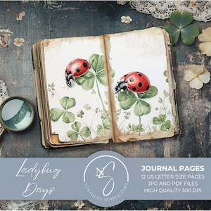Ladybug Days Journal Pages a digital junk journal kit for ephemera, printable paper, collage sheet for scrapbooking supply, 2025, L37