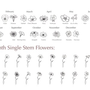 May include: A black and white illustration of flowers representing each month of the year. The flowers are arranged in rows with the month name above each flower. The text "BirthMonth Single Stem Flowers" is below the flowers.