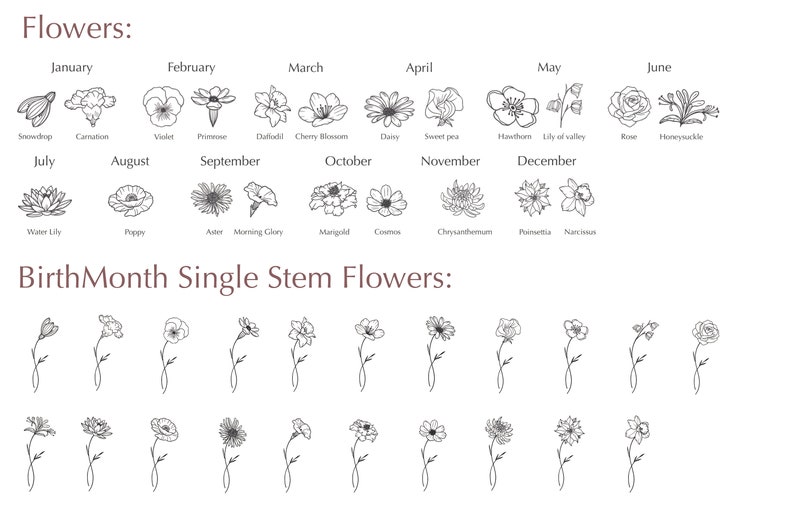 May include: A black and white illustration of flowers representing each month of the year. The flowers are arranged in rows with the month name above each flower. The text "BirthMonth Single Stem Flowers" is below the flowers.