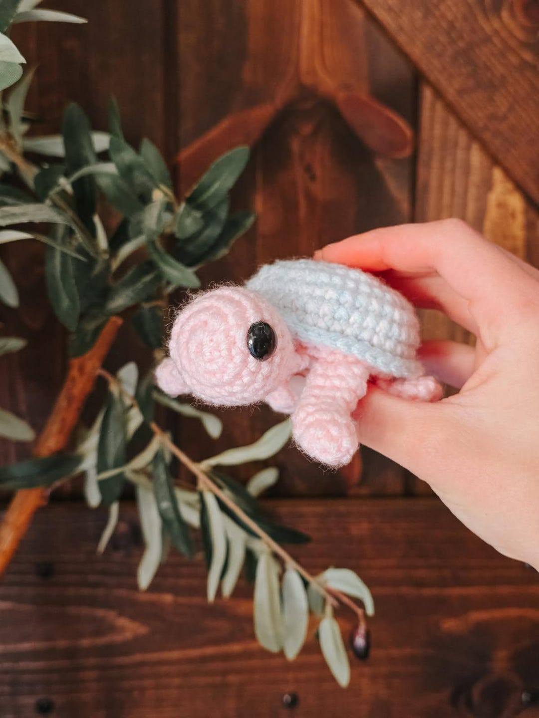 Cotton Candy Swirl Turtle - Etsy