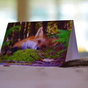 Lovely red fox greeting card