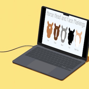 Beginner Friendly Basic Digital Horse Head, Face, and Leg Marking Identification Educational Posters
