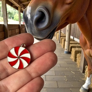 May include: A round pendant with a red and white spiral design, held in a hand. The pendant has a gold-colored border. A horse is in the background, with a barn and hay bales visible.