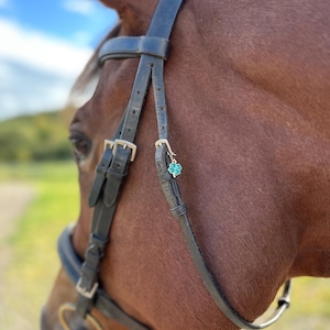 May include: Close-up of a brown horse wearing a black leather bridle. A small, turquoise and silver four-leaf clover charm hangs from the bridle. The horse is outdoors with a blurred background of green grass and a blue sky.