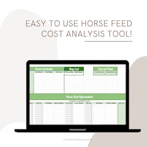 Puede incluir: Una hoja de cálculo verde y blanca en la pantalla de un portátil con el título "¡Herramienta de análisis de costes de alimentación para caballos fácil de usar!" La hoja de cálculo está dividida en secciones para "Alimentos disponibles", "Coste del heno" y "Total general".