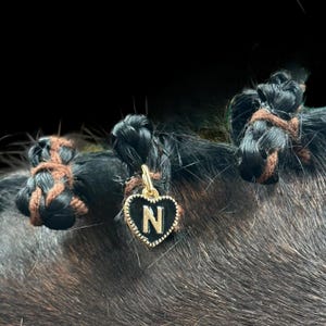 May include: Close-up of dark hair styled in small braids, some tied with brown string. A gold-colored heart-shaped charm with the letter "N" in black is attached to one of the braids. The background is black.