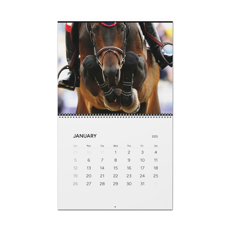 2025 Horse Calendar Etsy