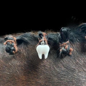 May include: Close-up of a dark brown surface with several small, braided sections of hair. One section features a white tooth-shaped charm with a silver-colored bail. The charm is suspended from the hair with a small heart-shaped accent.