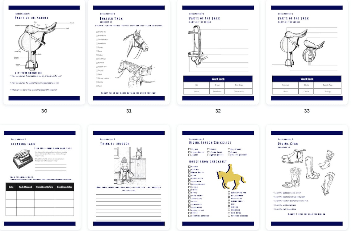 Beginner Rider's Horsemanship Workbook for Digital Download, Horse ...