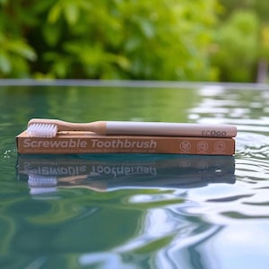 Puede incluir: Un cepillo de dientes de bambú con cerdas blancas y un mango plateado descansa sobre una caja de cartón. La caja dice "Screwable Toothbrush" y presenta la marca "ECOGO". El fondo es una vista borrosa de follaje verde.