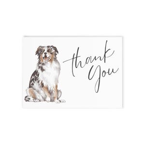 Thank you card for Pet Sitter featuring Australian Shepherd