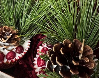 Natural Summer Fire Pit Starters Soy Wax Pine Cone Botanical Fire Starter Kits